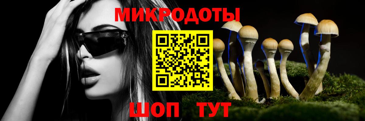 Кизилюрт  Галлюциногенные грибы GOLDEN TEACHER  Вход с VPN 